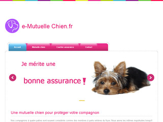 Détails : Une mutuelle pour chien pas cher